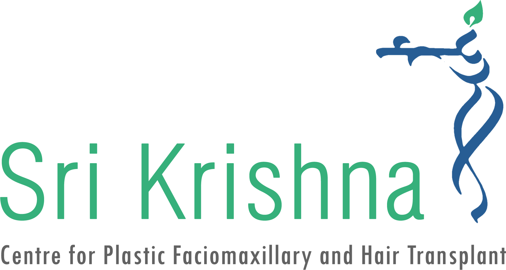 Krishna Logo - Bretagne Valorisation, HD Png Download - kindpng